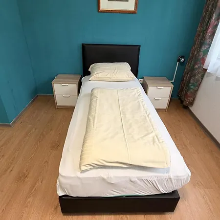 路德维希港经济型酒店 莱茵河畔路德维希港